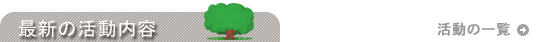�ŐV�̊������e